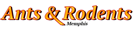 Memphis Ant Exterminator & Rodent Control Company Logo